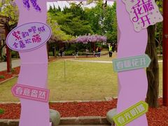 -嘉定紫藤园