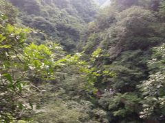 -山沟沟景区