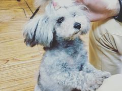 -志龙皇冠吃货椰子铺