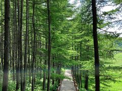 -驼梁风景区