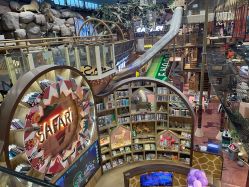 -卡通尼·Safari非洲探索乐园·生日会(金桥国际商业广场店)