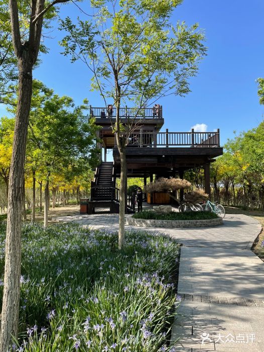 天津东丽湖风景区图片