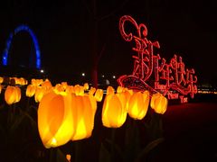 -南京眼步行桥
