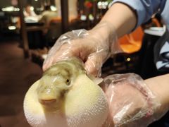 -肆月河豚·淮扬菜·湘菜(华天店)