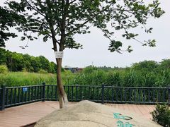 -白鹭湾湿地公园