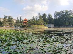 -四川大学(望江校区)