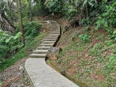 -天鹿湖森林公园