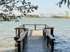 -长广溪湿地公园