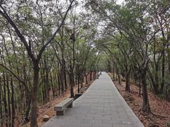 -红花山公园