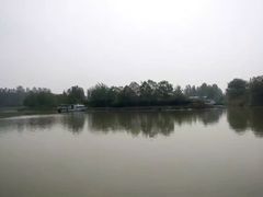-微山湖红荷湿地景区