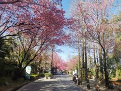 -天龙八部武侠城