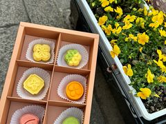 -乾芝斋·苏式糕点·碧螺春茶酥(平江路店)