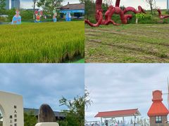 -杭州湾海上花田景区