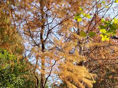 -上海不夜城广场(上海不夜城金融大厦店)