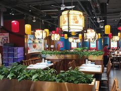 -东流山烤鸭·家常菜(巢湖万达店)