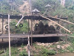 -西双版纳原始森林公园