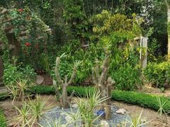 -中国科学院西双版纳热带植物园