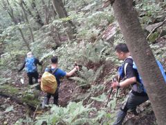 -秦岭风景区