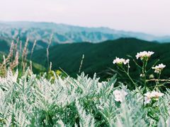 -苏木山森林公园