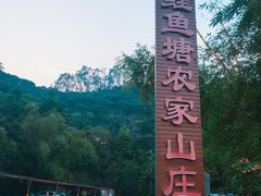 -鲤鱼塘农家山庄