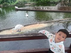 -海南热带野生动植物园