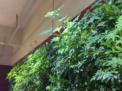 -巴奴毛肚火锅(广益哥伦布店)