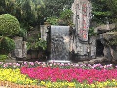 -广州市流溪河国家森林公园