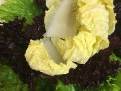 -青瓷火锅料理(西单大悦城店)