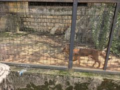 -昆明动物园