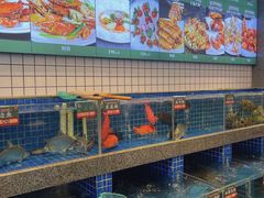 水产区-飞尝蚝·顺德菜·鱼生(顺德总店)