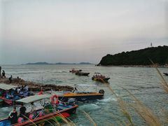 -杨梅坑