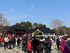 -香雪海