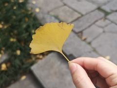 -无锡惠山寺