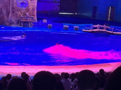 -华夏文旅海洋公园