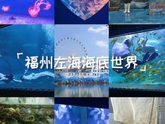 -左海海底世界