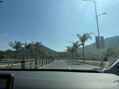 -亚龙湾国际玫瑰谷