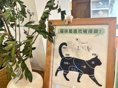 -有猫主题·治愈系猫咖(曾厝垵店)
