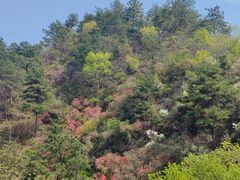 -木兰云雾山