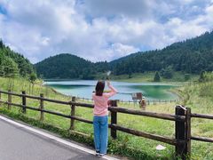-武陵山森林公园