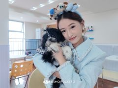 -汪说·狗咖·拼豆·宠物周边DIY(旺城大厦店)