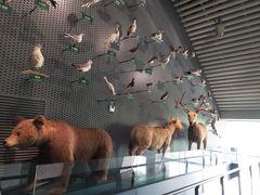 -中国湿地博物馆