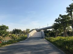 -宝安西湾红树林湿地公园