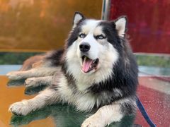 -十渡东湖港风景区