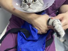 -达爱动物医院·犬猫分区·CT·复杂眼科(远洋山水分院)