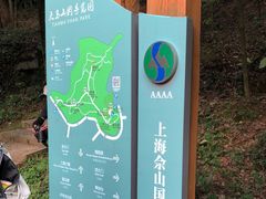 -上海佘山国家森林公园天马山园
