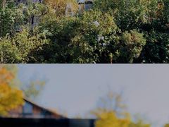 -一叶觅山(半边街店)