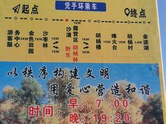 -金塔沙漠胡杨林景区