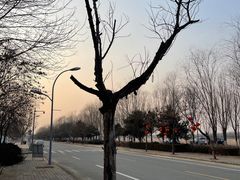 -恒华国际影城(顺义店)