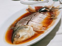 酒蒸鲥鱼-蝶园·装修中(BFC外滩金融中心店)