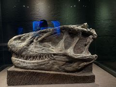 -自贡恐龙博物馆